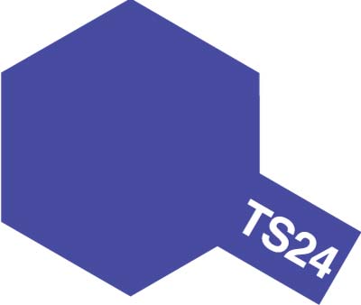 TS-24 p[v